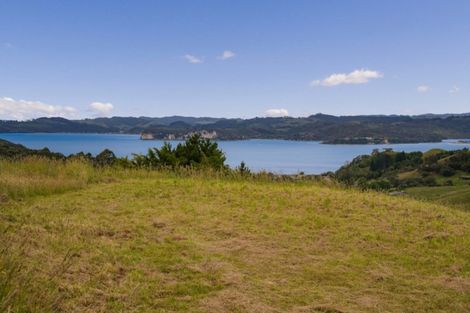 Photo of property in 79 Tarapatiki Drive, Whitianga, 3510