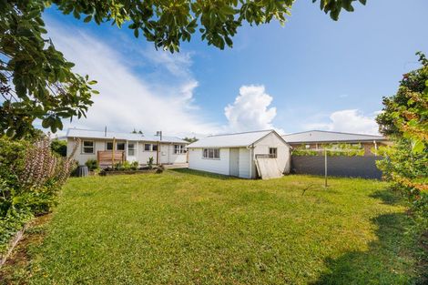 Photo of property in 102 Limbrick Street, Terrace End, Palmerston North, 4410