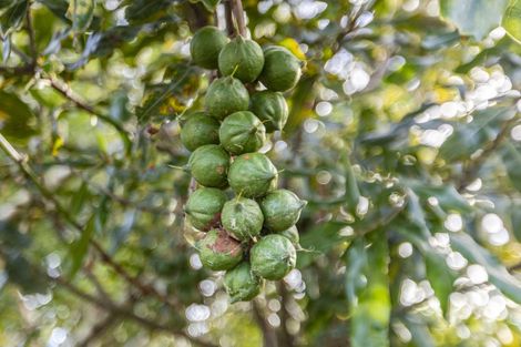 Photo of property in 10 Monmouth Place, Tamatea, Napier, 4112