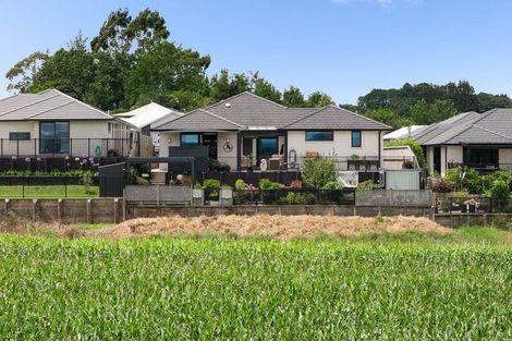 Photo of property in 20 Kirk Lane, Ohauiti, Tauranga, 3112