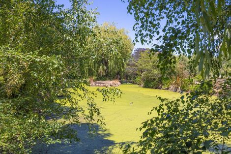 Photo of property in 274 High Street North, Carterton, 5713