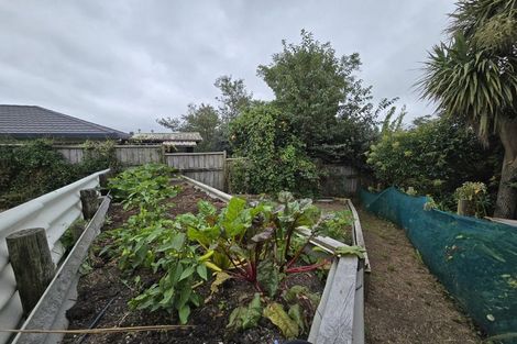 Photo of property in 9 Bayvista Close, Welcome Bay, Tauranga, 3112