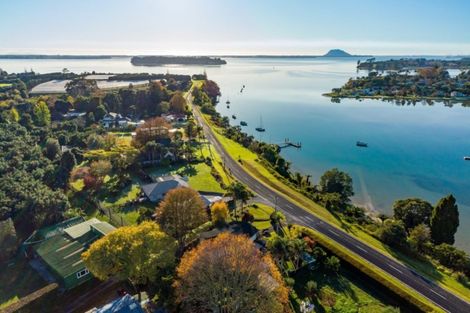 Photo of property in 293 Plummers Point Road, Whakamarama, Tauranga, 3172