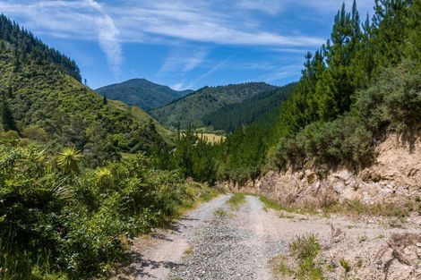 Photo of property in 785 Waikakaho Road, Tuamarina, Blenheim, 7273