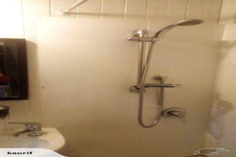 Photo of property in 64 New Windsor Road, New Windsor, Auckland, 0600