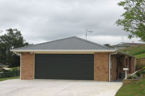 Photo of property in 12 Ohinemuri Place, Paeroa, 3600