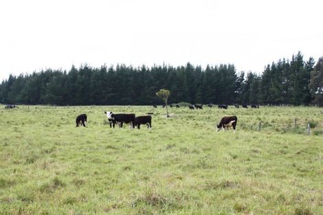 Photo of property in 119 Orari Back Road, Geraldine, 7992