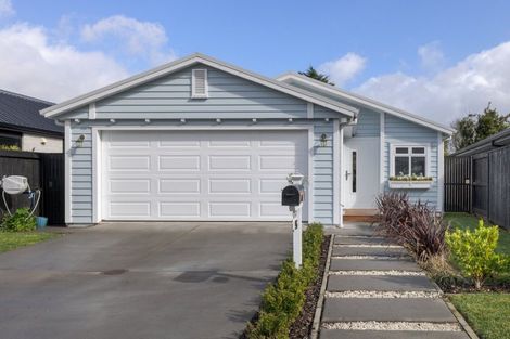 Photo of property in 5 Hinaki Street, Poike, Tauranga, 3112