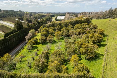 Photo of property in 231 Walford Road, Aongatete, Katikati, 3181