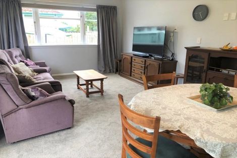 Photo of property in 48 Mabel Street, Levin, 5510