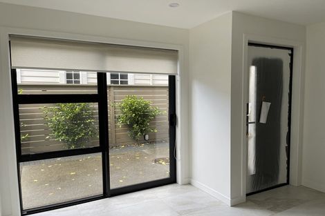 Photo of property in 17b Beckenham Avenue, Royal Oak, Auckland, 1023
