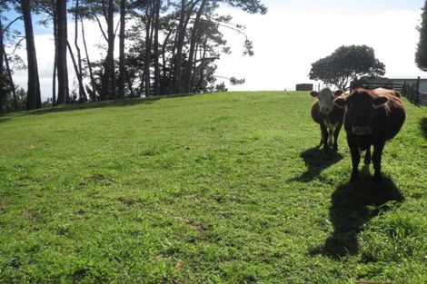 Photo of property in 285 Waihue Road, Dargaville, 0372