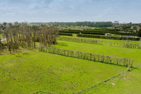 Photo of property in 30b Thompsons Track, Aongatete, 3178