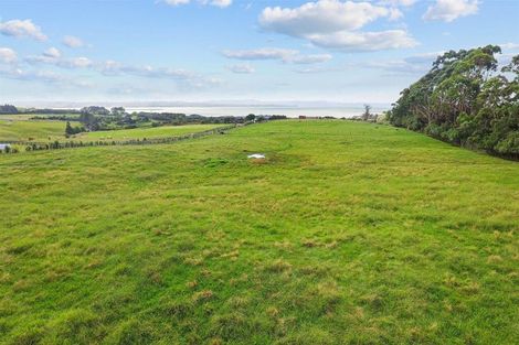 Photo of property in 78 Dell Road, Waiau Pa, Pukekohe, 2679