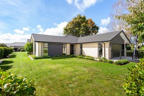Photo of property in 35 Banks Road, Matamata, 3400