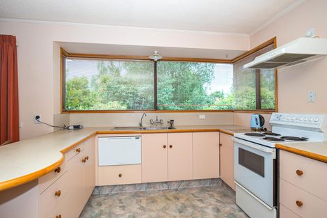 Photo of property in 19 Jollie Street, Geraldine, 7930