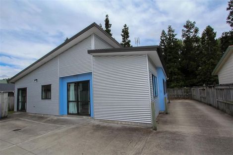 Photo of property in 55 York Street, Hamilton East, Hamilton, 3216