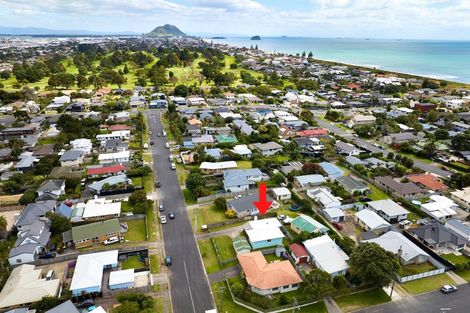 Photo of property in 21 Crane Street, Mount Maunganui, 3116