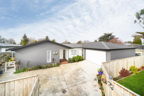 Photo of property in 229c Botanical Road, Takaro, Palmerston North, 4412