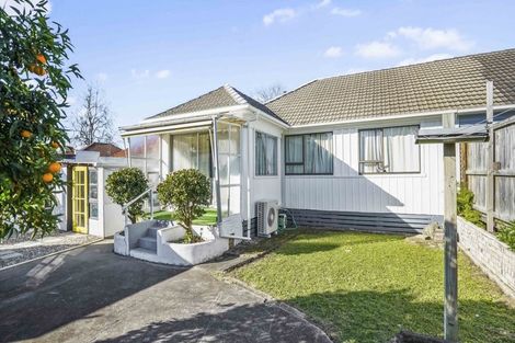 Photo of property in 14 Pinfold Avenue, Hamilton East, Hamilton, 3216