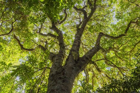 Photo of property in 46 Kohekohe Road, Waikanae, 5036