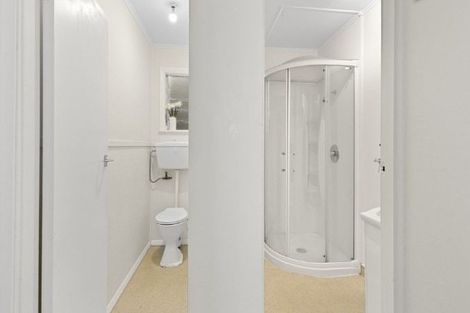 Photo of property in 21 Wilson Street, Newtown, Wellington, 6021