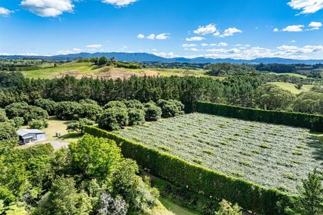 Photo of property in 168 Youngson Road, Whakamarama, Tauranga, 3179