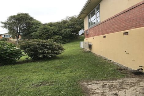 Photo of property in 161 Lynn Street, Wakari, Dunedin, 9010