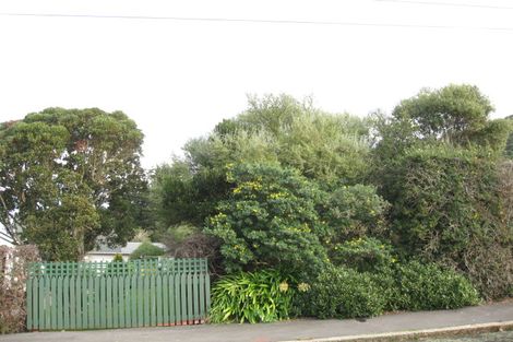 Photo of property in 33 Taupo Street, Ravensbourne, Dunedin, 9022