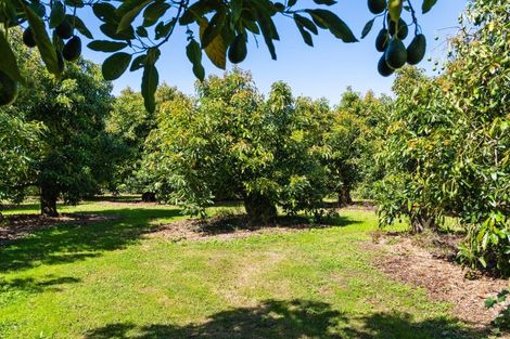 Photo of property in 42 Ferry Road, Waerengaahika, Gisborne, 4071