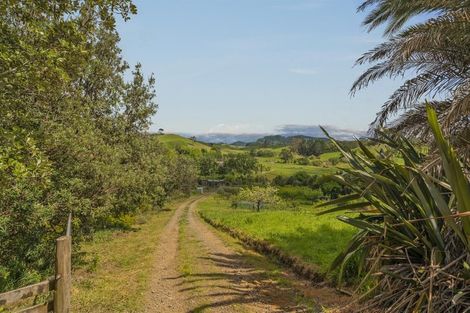 Photo of property in 16 Hodge Road, Coroglen, Whitianga, 3591
