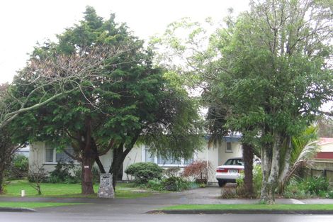 Photo of property in 117 Pahiatua Street, Hokowhitu, Palmerston North, 4410