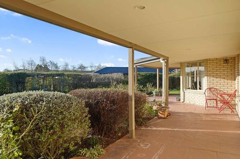 Photo of property in 7 Hilton Drive, Amberley, 7410