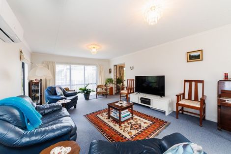 Photo of property in 101 Lincoln Street, Ashhurst, 4810