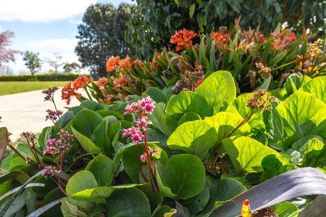 Photo of property in 15 Josephine Place, Te Kauwhata, 3782