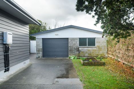 Photo of property in 20 Anglesey Place, Awapuni, Palmerston North, 4412