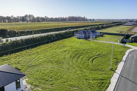 Photo of property in 25 Arihi Crescent, Frimley, Hastings, 4120