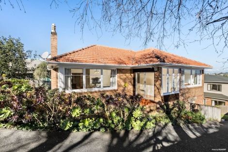 Photo of property in 499a Mount Albert Road, Mount Roskill, Auckland, 1042