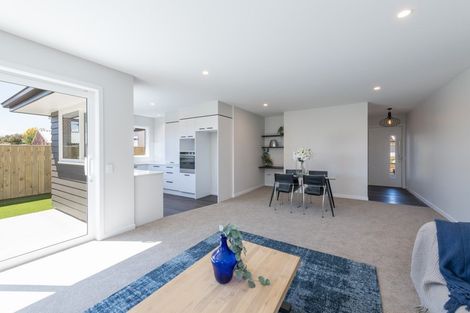 Photo of property in 29c Talbot Street, Richmond, 7020