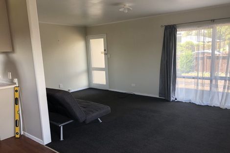 Photo of property in 45 Hooper Avenue, Pukekohe, 2120