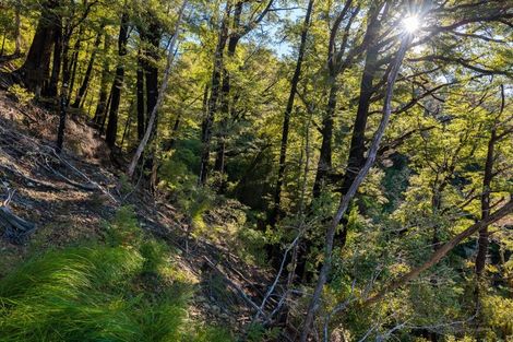 Photo of property in 2464 Port Underwood Road, Port Underwood, Picton, 7281