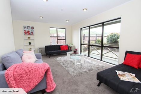 Photo of property in 297 Mitchell Street, Brooklyn, Wellington, 6021