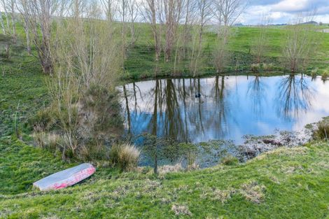Photo of property in 272 Huarau Road, Whakapirau, Maungaturoto, 0583