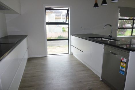 Photo of property in 225 Dey Street, Hamilton East, Hamilton, 3216