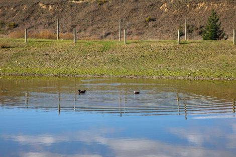 Photo of property in 80 Waikerikeri Vly Road, Springvale, Alexandra, 9391