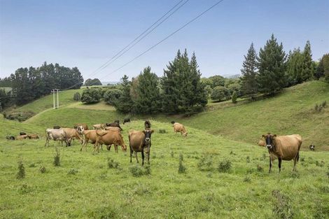 Photo of property in 87 Busby Road, Tahawai, Katikati, 3170