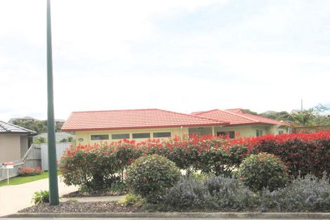 Photo of property in 239 Castlewold Drive, Bethlehem, Tauranga, 3110