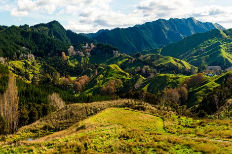 Photo of property in 276 Gaddums Hill Road, Outer Kaiti, Gisborne, 4010