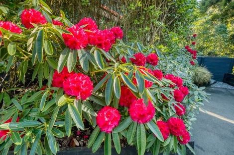 Photo of property in 132 Brickfield Road, Blue Spur, Hokitika, 7882