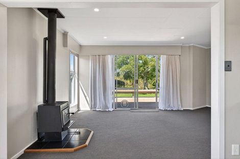 Photo of property in 33 Leicester Street, Terrace End, Palmerston North, 4410